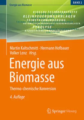 Kaltschmitt / Lenz / Hofbauer |  Energie aus Biomasse | Buch |  Sack Fachmedien