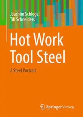 Schlegel / Schneiders | Hot Work Tool Steel | Buch | 978-3-658-43015-3 | www2.sack.de