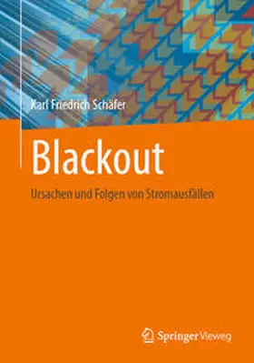 Schäfer |  Blackout | eBook | Sack Fachmedien