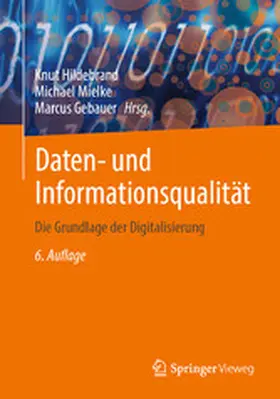 Hildebrand / Mielke / Gebauer | Daten- und Informationsqualität | E-Book | sack.de