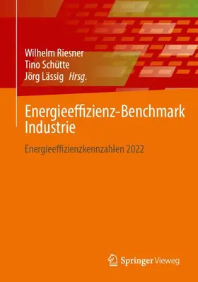 Riesner / Schütte / Lässig |  Energieeffizienz-Benchmark Industrie | Buch |  Sack Fachmedien