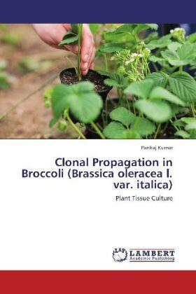 Kumar |  Clonal Propagation in Broccoli (Brassica oleracea l. var. italica) | Buch |  Sack Fachmedien