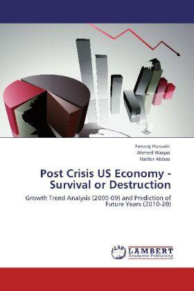 Hussain / Waqas / Abbas |  Post Crisis US Economy - Survival or Destruction | Buch |  Sack Fachmedien