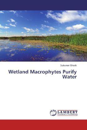 Ghosh |  Wetland Macrophytes Purify Water | Buch |  Sack Fachmedien