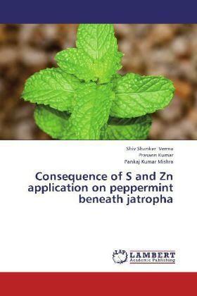 Verma / Kumar / Mishra |  Consequence of S and Zn application on peppermint beneath jatropha | Buch |  Sack Fachmedien