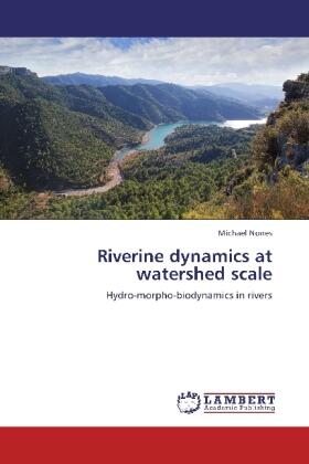 Nones |  Riverine dynamics at watershed scale | Buch |  Sack Fachmedien