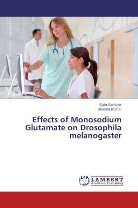 Sarfaraz / Kumar |  Effects of Monosodium Glutamate on Drosophila melanogaster | Buch |  Sack Fachmedien