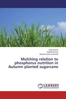 Kumar / Kushwah |  Mulching relation to phosphorus nutrition in Autumn planted sugarcane | Buch |  Sack Fachmedien