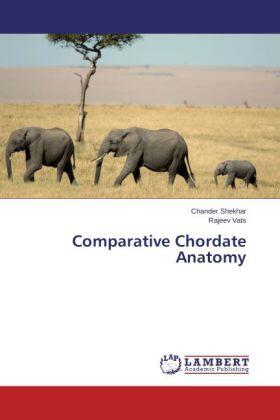 Shekhar / Vats |  Comparative Chordate Anatomy | Buch |  Sack Fachmedien