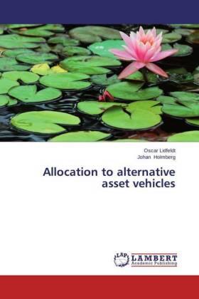 Lidfeldt / Holmberg |  Allocation to alternative asset vehicles | Buch |  Sack Fachmedien