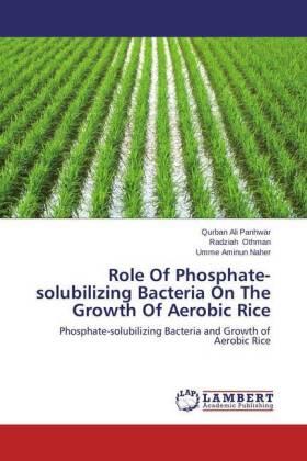 Panhwar / Othman / Naher |  Role Of Phosphate-solubilizing Bacteria On The Growth Of Aerobic Rice | Buch |  Sack Fachmedien