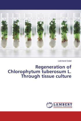 Dalal |  Regeneration of Chlorophytum tuberosum L. Through tissue culture | Buch |  Sack Fachmedien