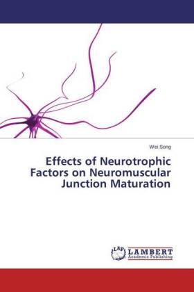 Song |  Effects of Neurotrophic Factors on Neuromuscular Junction Maturation | Buch |  Sack Fachmedien