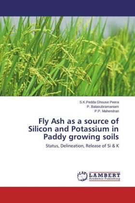 Peera / Balasubramaniam / Mahendran |  Fly Ash as a source of Silicon and Potassium in Paddy growing soils | Buch |  Sack Fachmedien