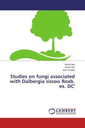 Naz / Pandey |  Studies on fungi associated with Dalbergia sissoo Roxb. ex. DC' | Buch |  Sack Fachmedien
