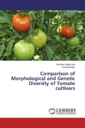 Zafarullah / Naz |  Comparison of Morphological and Genetic Diversity of Tomato cultivars | Buch |  Sack Fachmedien