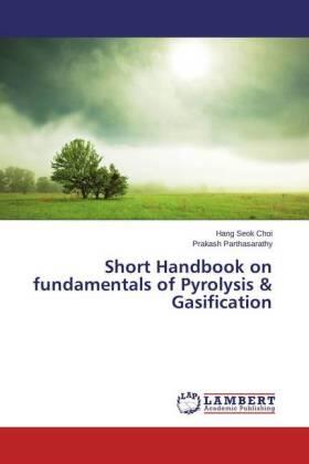 Choi / Parthasarathy |  Short Handbook on fundamentals of Pyrolysis & Gasification | Buch |  Sack Fachmedien