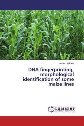 Al-Rawi |  DNA fingerprinting, morphological identification of some maize lines | Buch |  Sack Fachmedien