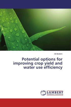 Ibrahim |  Potential options for improving crop yield and water use efficiency | Buch |  Sack Fachmedien