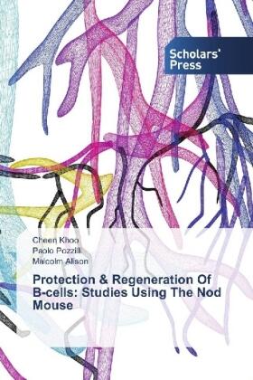 Khoo / Pozzilli / Alison |  Protection & Regeneration Of ¿-cells: Studies Using The Nod Mouse | Buch |  Sack Fachmedien