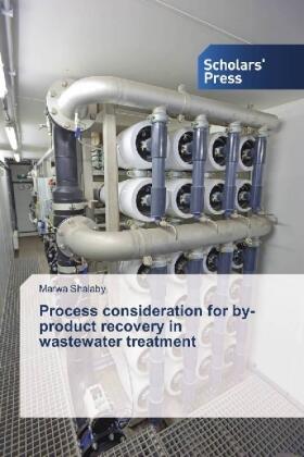 Shalaby |  Process consideration for by-product recovery in wastewater treatment | Buch |  Sack Fachmedien