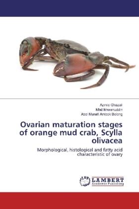 Ghazali / Ikhwanuddin / Ambok Bolong |  Ovarian maturation stages of orange mud crab, Scylla olivacea | Buch |  Sack Fachmedien
