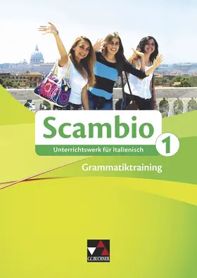 Banzhaf / Bernhofer / Bernabei |  Scambio Grammatiktraining 1 | Buch |  Sack Fachmedien