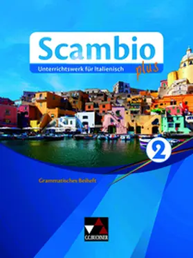 Bernhofer / Bentivoglio / Stenzenberger |  Scambio plus 2 Grammatisches Beiheft | Buch |  Sack Fachmedien