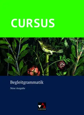 Maier / Hotz / Boberg |  Cursus - Neue Ausgabe Begleitgrammatik | Buch |  Sack Fachmedien