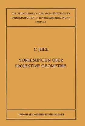 Juel |  Vorlesungen über Projektive Geometrie | Buch |  Sack Fachmedien