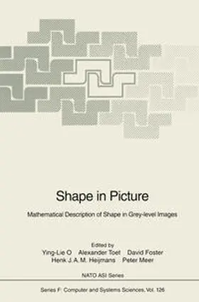 O / Toet / Foster |  Shape in Picture | eBook | Sack Fachmedien
