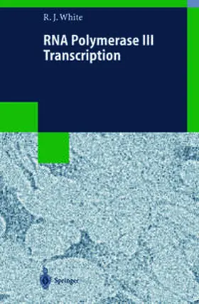 White |  RNA Polymerase III Transcription | eBook | Sack Fachmedien