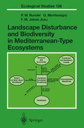 Rundel / Montenegro / Jaksic |  Landscape Disturbance and Biodiversity in Mediterranean-Type Ecosystems | eBook | Sack Fachmedien