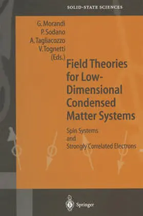 Morandi / Sodano / Tagliacozzo |  Field Theories for Low-Dimensional Condensed Matter Systems | eBook | Sack Fachmedien