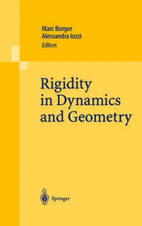 Burger / Iozzi |  Rigidity in Dynamics and Geometry | eBook | Sack Fachmedien