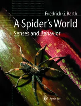 Barth | A Spider’s World | E-Book | sack.de