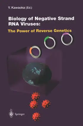 Biology of Negative Strand RNA Viruses: The Power of Reverse Genetics | E-Book | sack.de