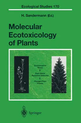 Sandermann |  Molecular Ecotoxicology of Plants | eBook | Sack Fachmedien