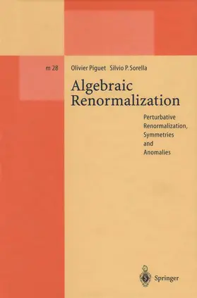 Sorella / Piguet |  Algebraic Renormalization | Buch |  Sack Fachmedien
