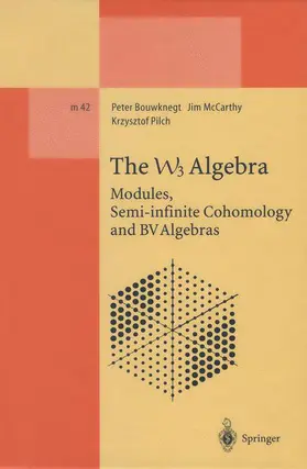 Bouwknegt / Pilch / McCarthy |  The W3 Algebra | Buch |  Sack Fachmedien