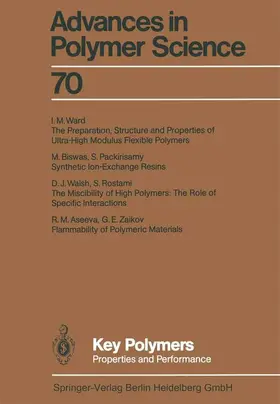  Key Polymers | Buch |  Sack Fachmedien