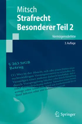 Mitsch |  Strafrecht, Besonderer Teil 2 | eBook | Sack Fachmedien