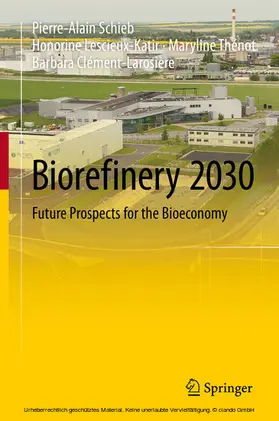 Schieb / Lescieux-Katir / Thénot | Biorefinery 2030 | E-Book | sack.de