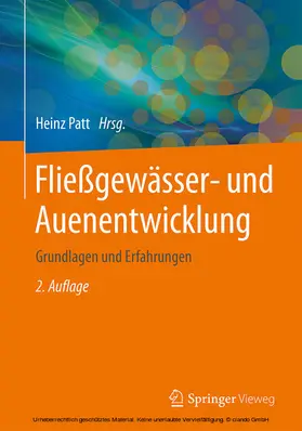 Patt |  Fließgewässer- und Auenentwicklung | eBook | Sack Fachmedien