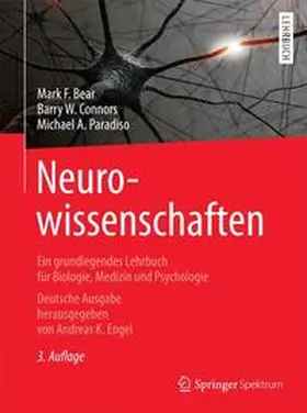 Bear / Engel / Connors |  Neurowissenschaften | Buch |  Sack Fachmedien