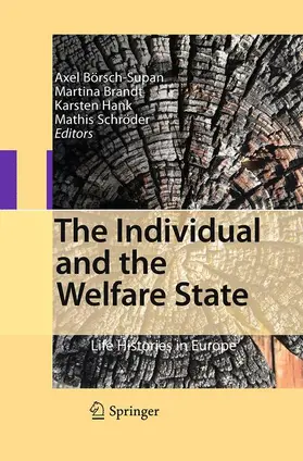 Börsch-Supan / Schröder / Brandt |  The Individual and the Welfare State | Buch |  Sack Fachmedien