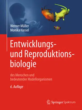 Müller / Hassel |  Entwicklungsbiologie und Reproduktionsbiologie des Menschen und bedeutender Modellorganismen | eBook | Sack Fachmedien