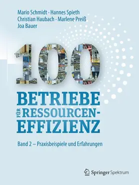 Schmidt / Spieth / Bauer |  100 Betriebe für Ressourceneffizienz | Buch |  Sack Fachmedien