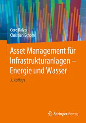 Balzer / Schorn |  Asset Management für Infrastrukturanlagen - Energie und Wasser | eBook | Sack Fachmedien
