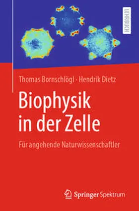 Bornschlögl / Dietz |  Biophysik in der Zelle | eBook | Sack Fachmedien